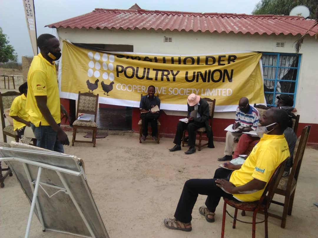 Poultry Union Board tour several farmer marketing associations