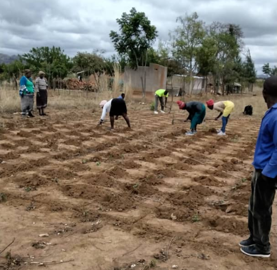 Climate-smart farming training begins in Mazowe District